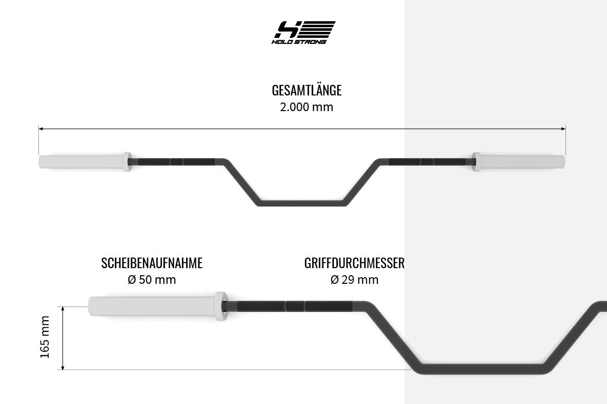 HOLD STRONG Fitness Elite Seal Row Bar VOGT TRAINING Equipment