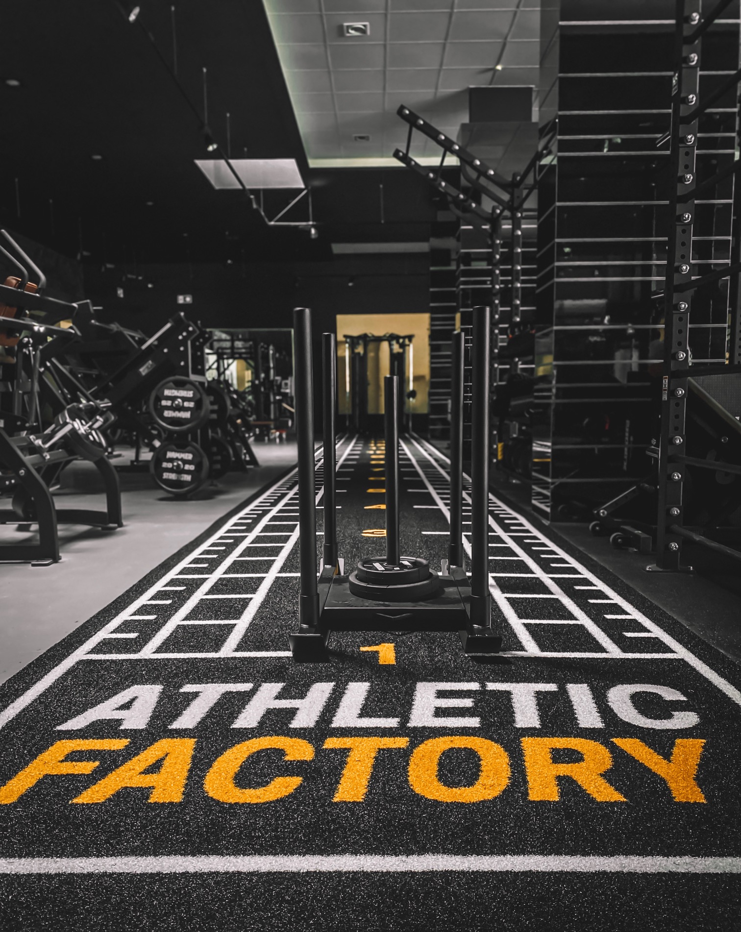 Athletic Factory